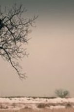 Movie poster: Swallow Storm Season 1 Episode 4