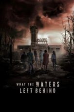 Movie poster: What the Waters Left Behind