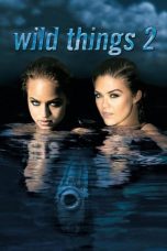 Movie poster: Wild Things 2