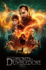 Movie poster: Fantastic Beasts: The Secrets of Dumbledore 16122023