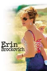 Movie poster: Erin Brockovich