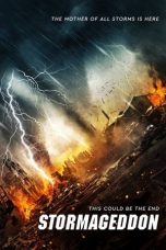 Movie poster: Stormageddon