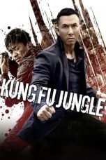 Movie poster: Kung Fu Jungle