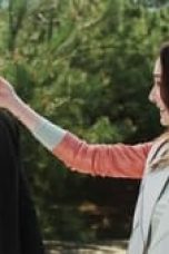 Movie poster: Price Of Passion Season 1 Episode 25