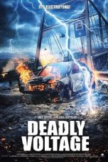 Movie poster: Deadly Voltage