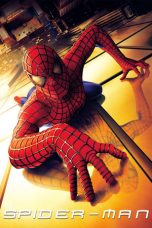 Movie poster: Spider-Man