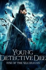 Movie poster: Young Detective Dee: Rise of the Sea Dragon (2013)