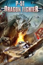 Movie poster: P-51 Dragon Fighter