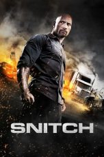 Movie poster: Snitch