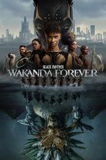 Movie poster: Black Panther: Wakanda Forever 082024