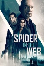 Movie poster: Spider in the Web