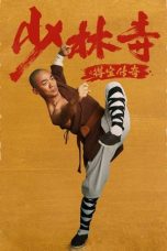 Movie poster: Rising Shaolin: The Protector