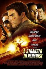 Movie poster: A Stranger in Paradise 2013