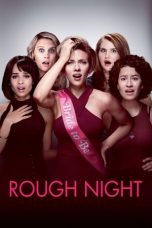 Movie poster: Rough Night 19012024
