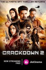 Movie poster: Crackdown 2023