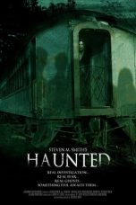 Movie poster: Haunted 2013