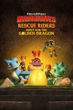 Movie poster: Dragons: Rescue Riders: Hunt for the Golden Dragon 2020