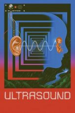 Movie poster: Ultrasound 2022