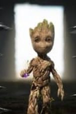 Movie poster: I Am Groot Season 2 Episode 5