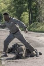 Movie poster: Fear the Walking Dead Season 5 Episode 9