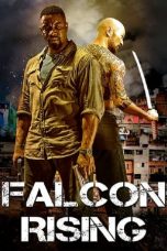 Movie poster: Falcon Rising 17122023