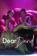Movie poster: Dear David 272023