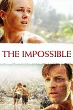 Movie poster: The Impossible 17012024