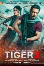 Movie poster: Tiger 3 2023