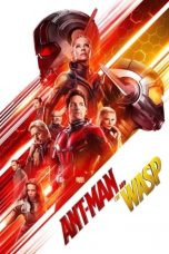 Movie poster: Ant-Man and the Wasp 082024