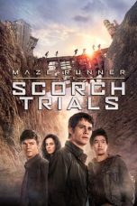Movie poster: Maze Runner: The Scorch Trials 152024