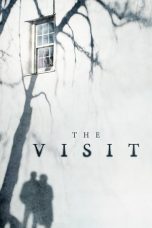 Movie poster: The Visit 062024