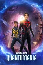 Movie poster: Ant-Man and the Wasp: Quantumania 08012024