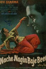 Movie poster: Nache Nagin Baje Been 1960