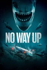 Movie poster: No Way Up 2024