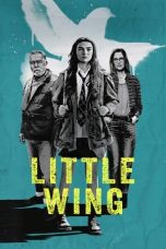 Movie poster: Little Wing 2024