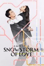 Movie poster: Amidst a Snowstorm of Love 2024